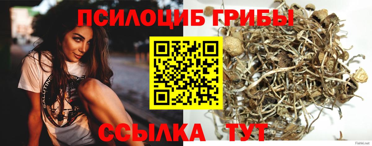 Рузаевка  Галлюциногенные грибы прущие грибы  Вход с VPN 